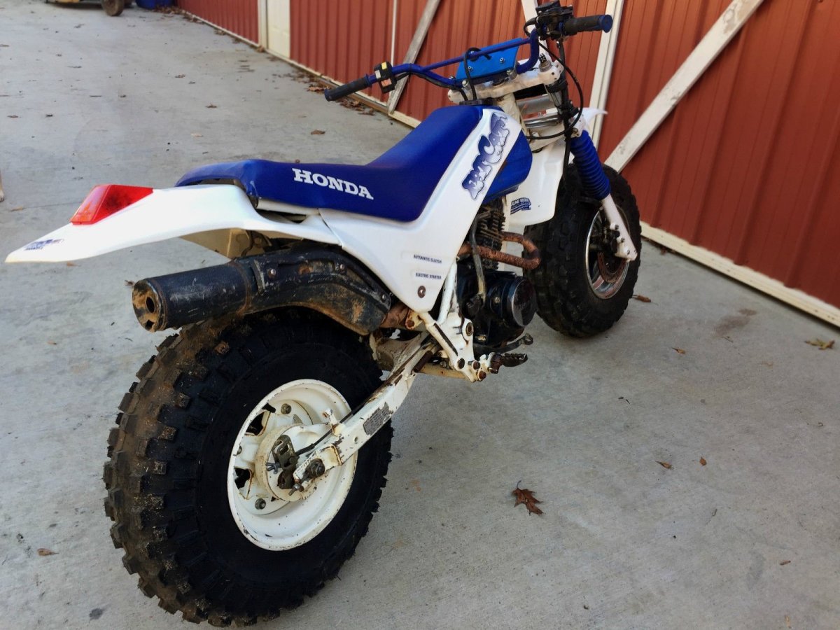 Honda fat Cat купить