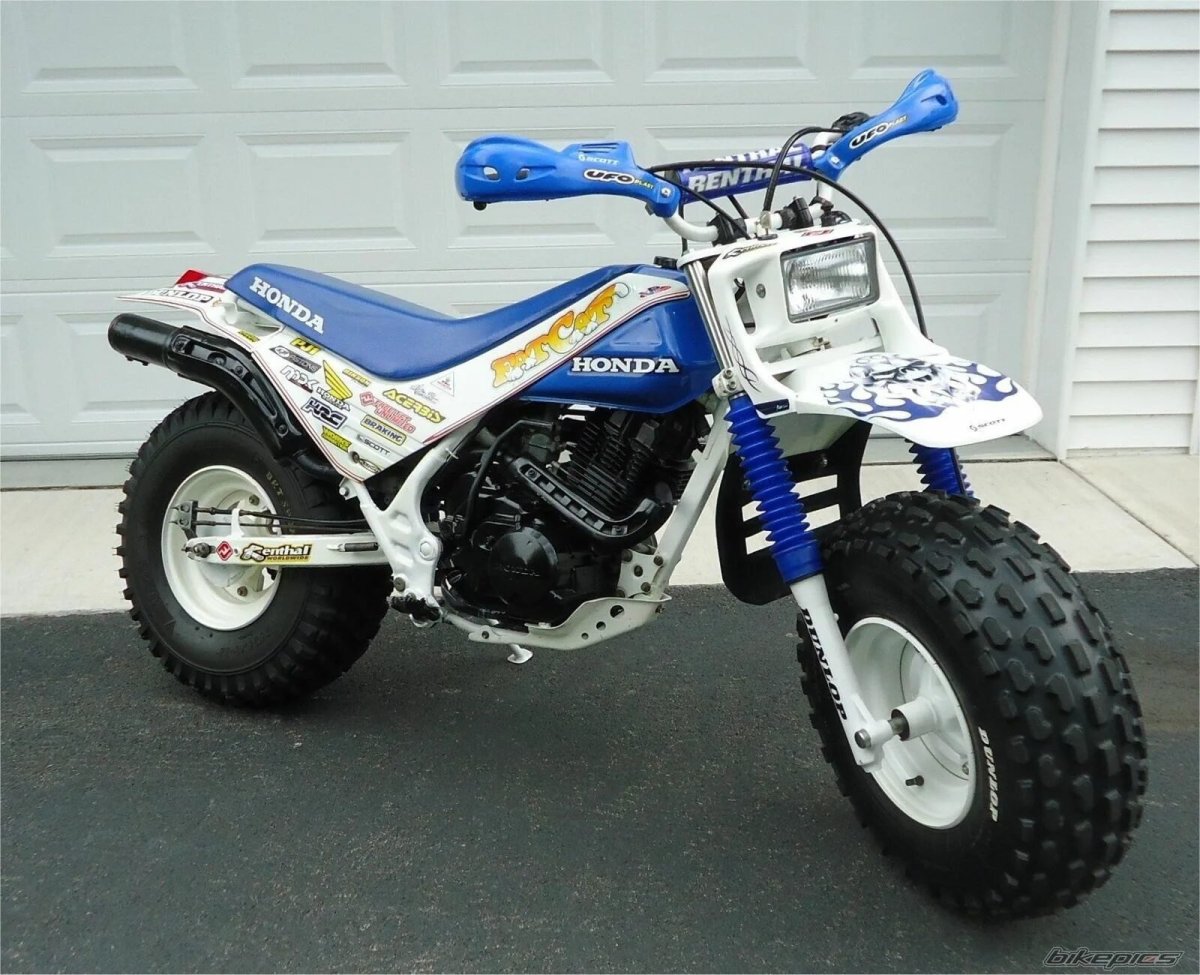 Honda fat Cat tr200cc ...