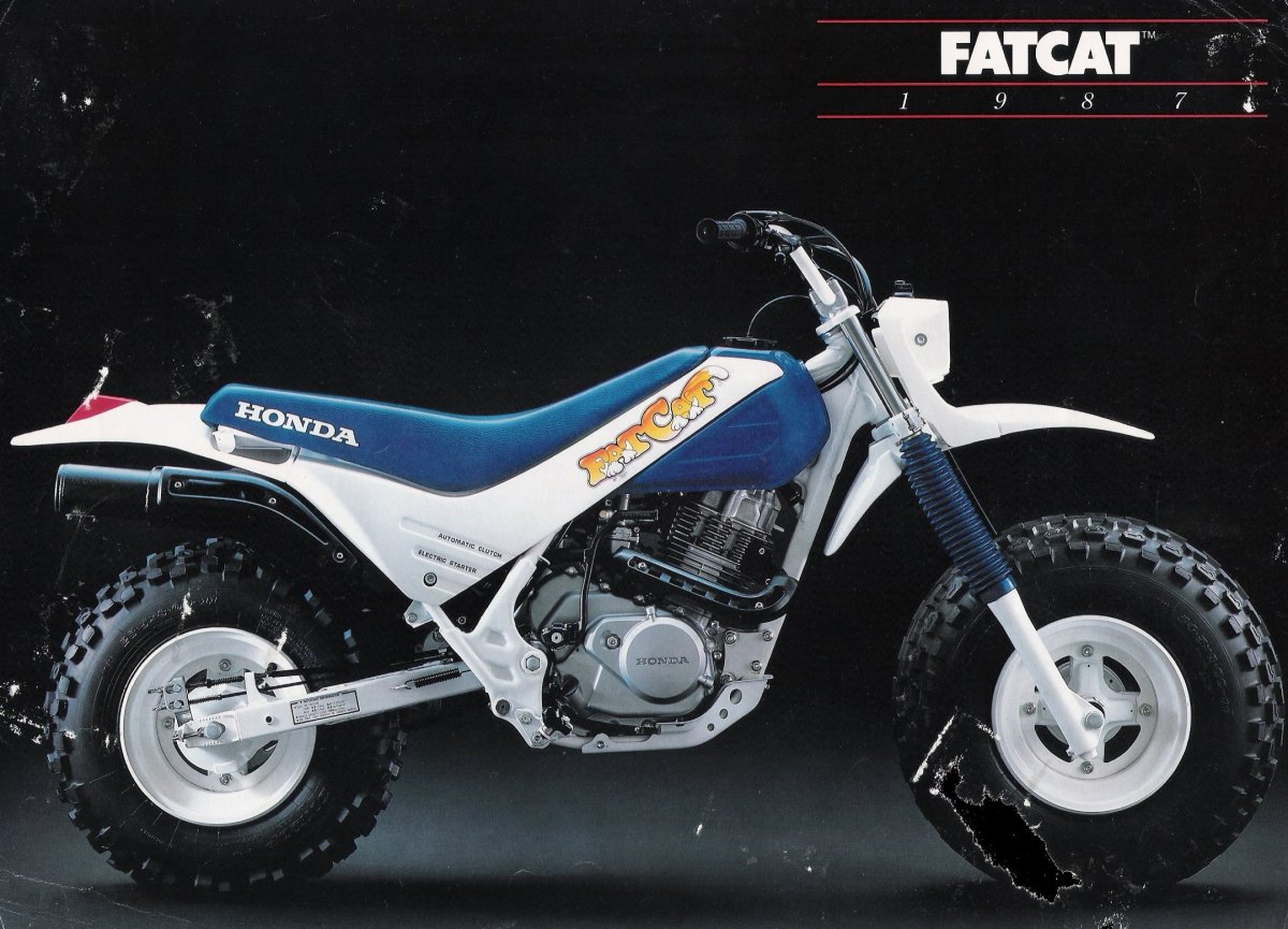 Honda fat Cat 650