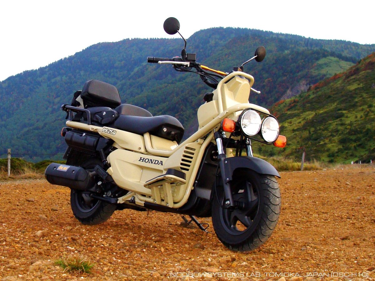 Honda big Ruckus ps250