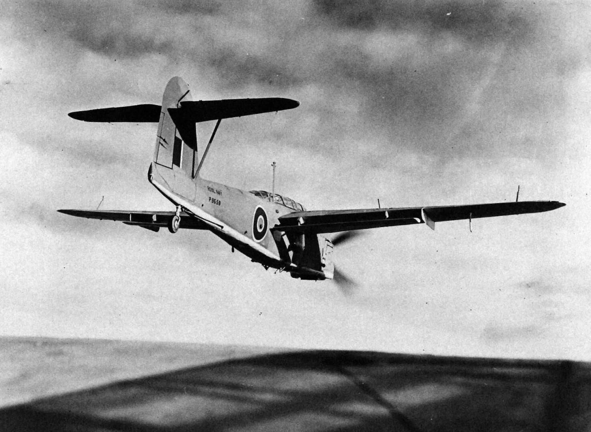 Фейри Барракуда