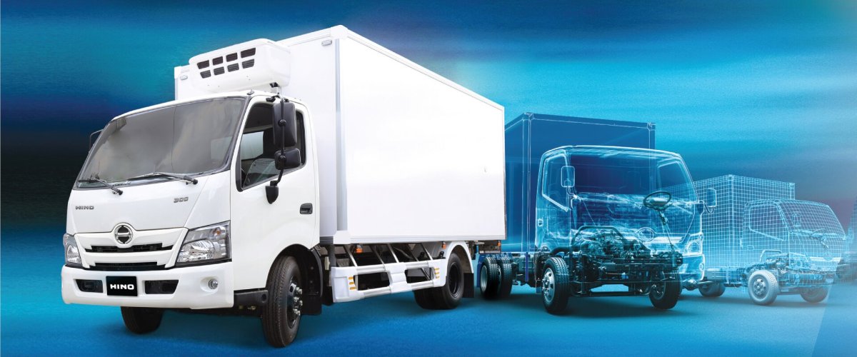 Хино 300 по сравнению с человеком