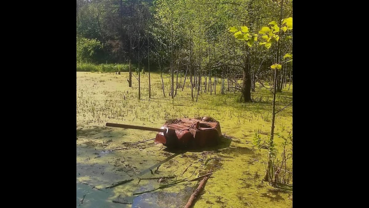 Танк в болоте Новгородская область