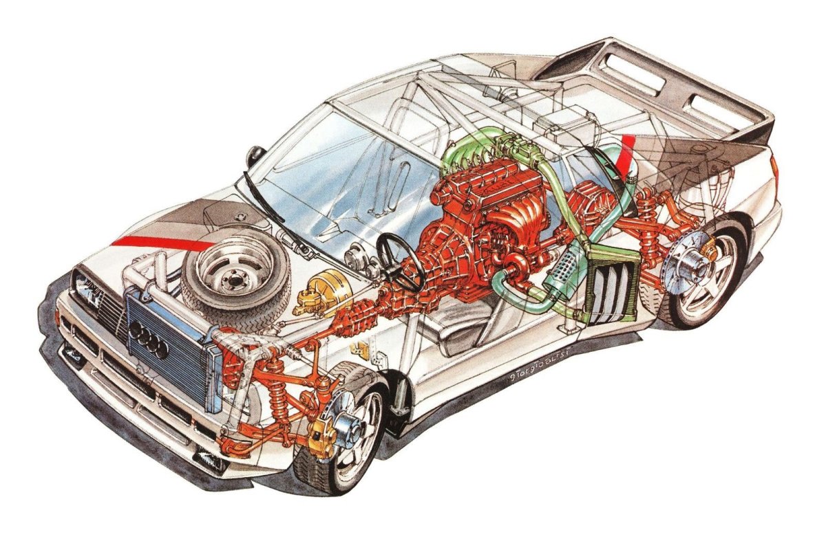 Audi quattro Sport Cutaway