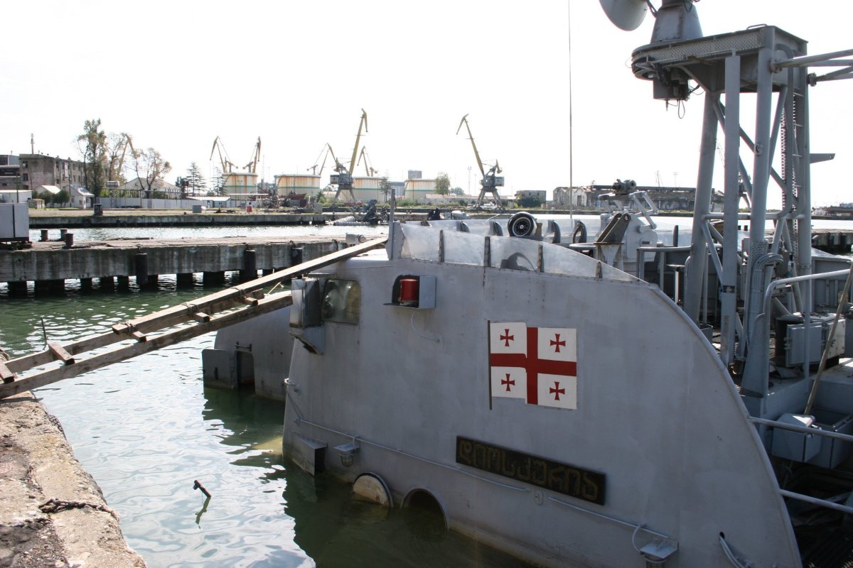 Грузинский флот 2008