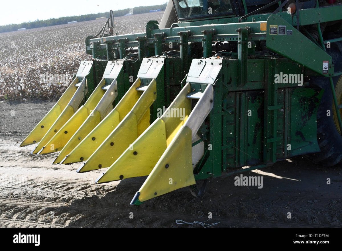 Хлопковый техника