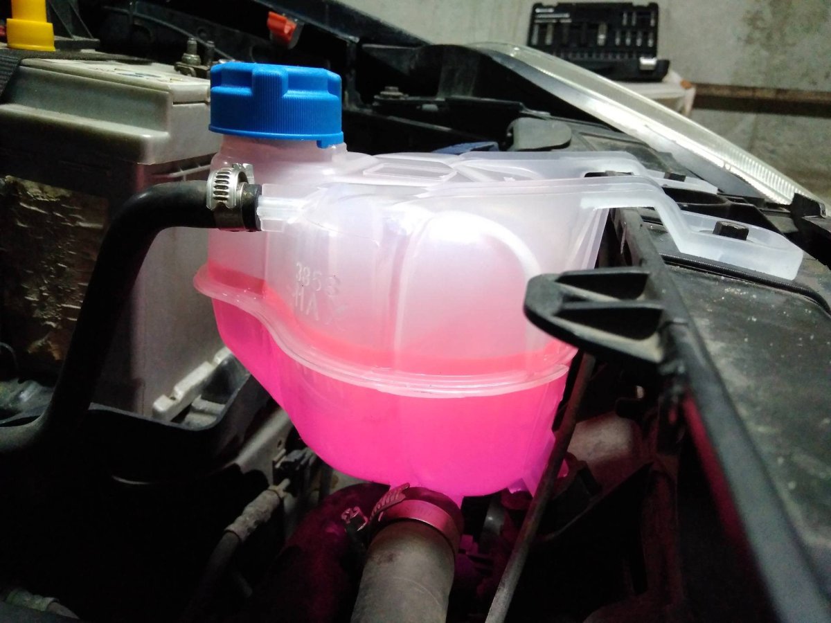 Fiat ducatosholarist антифриз