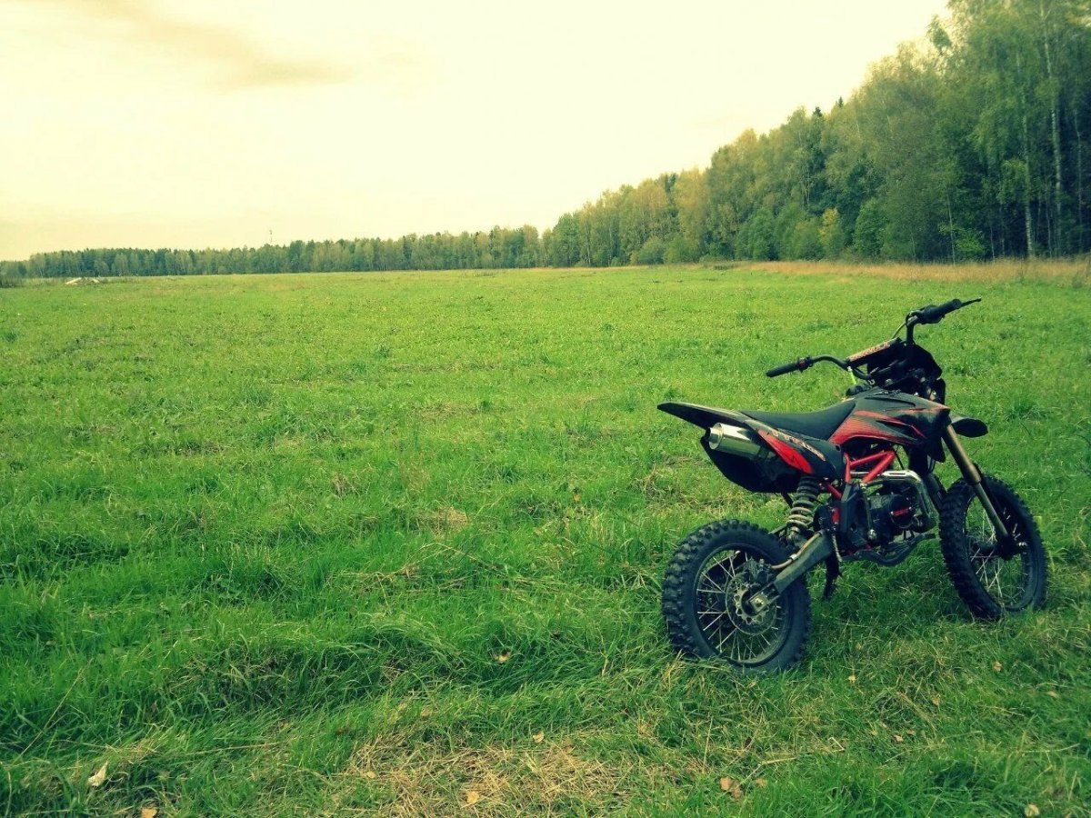 Питбайк 125 в лесу