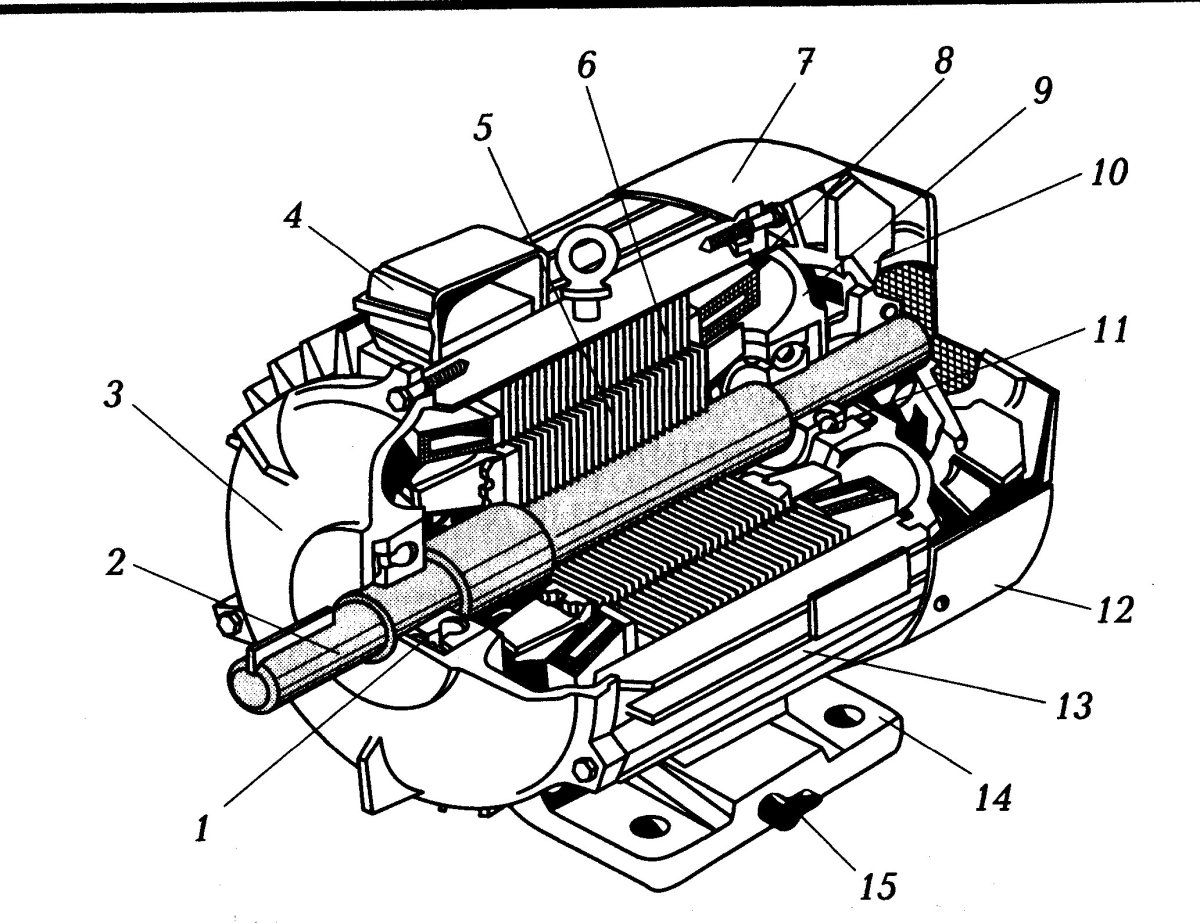 Устройство асинхронного двигателя с короткозамкнутым ротором