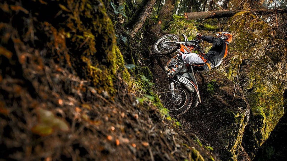 Freerider мотик