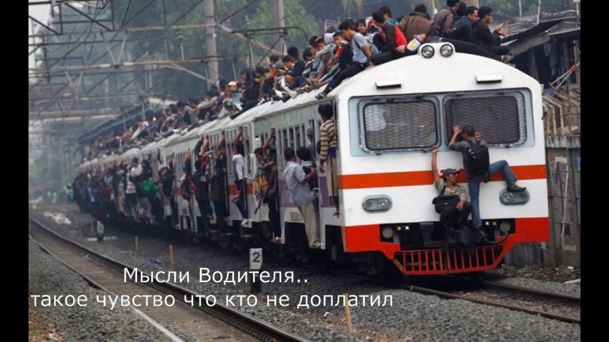 Много поездов