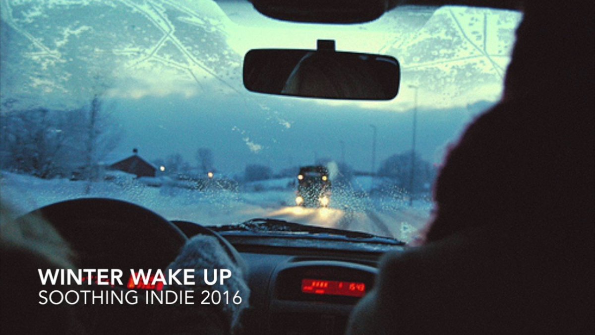 Вид через лобовое стекло