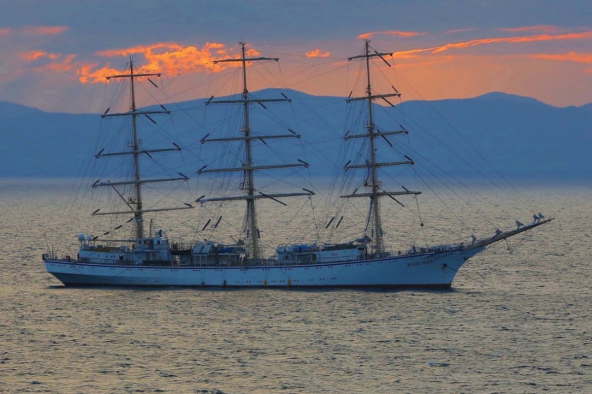 Фрегат Надежда Владивосток