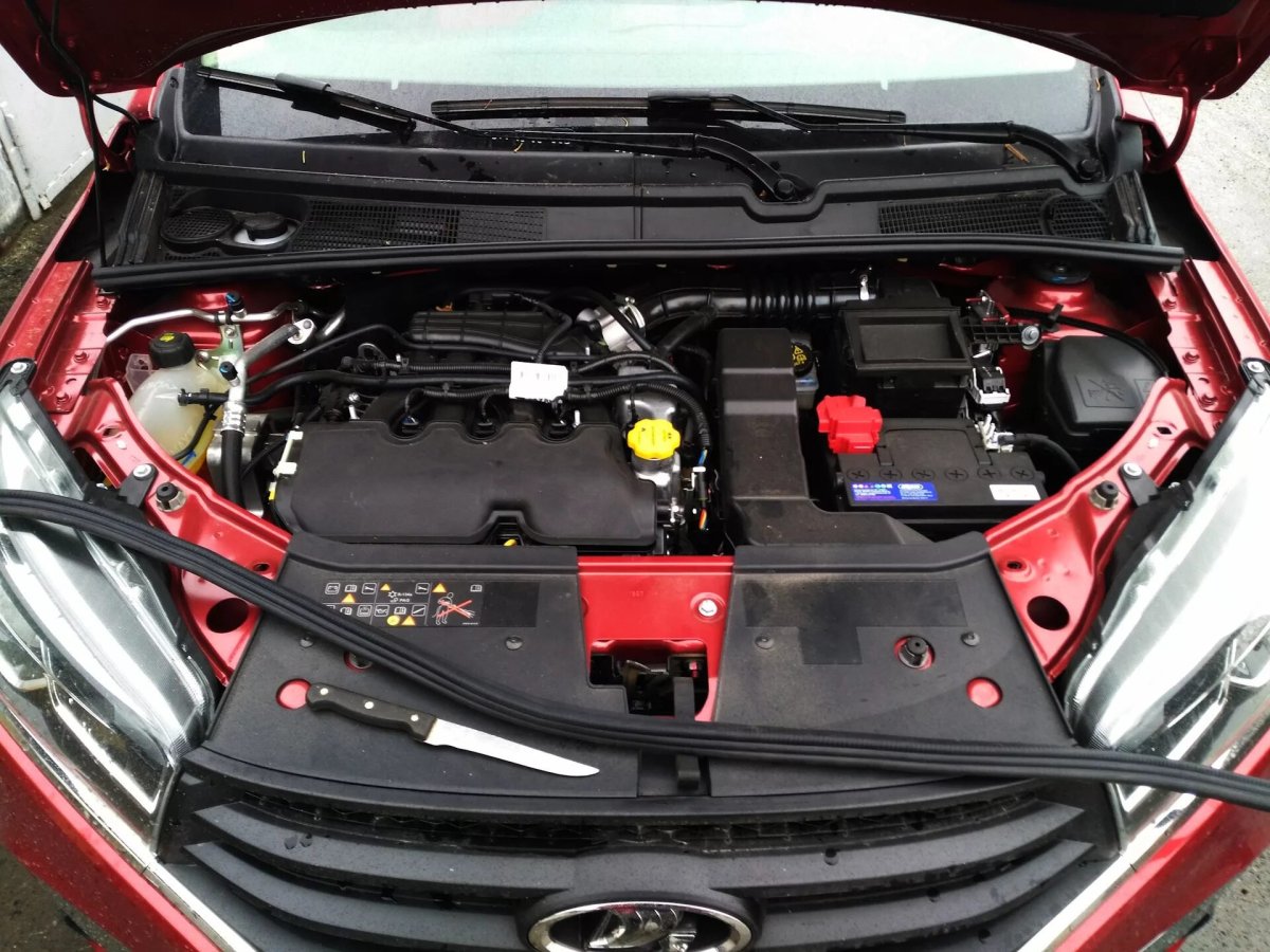 Подкапотное пространство Лада х Рей 1.6