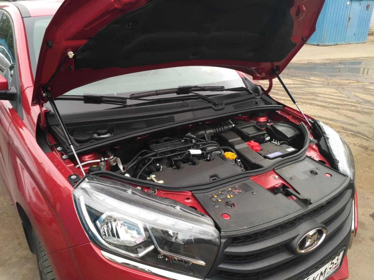 Газовые упоры капота Лада х Рей