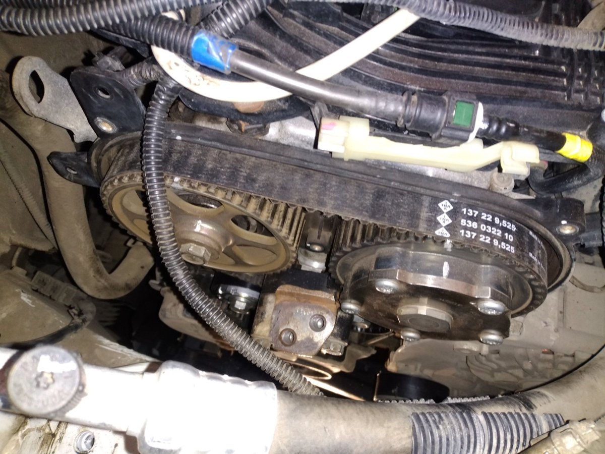 Ремень ГРМ Лада х Рей 1,8