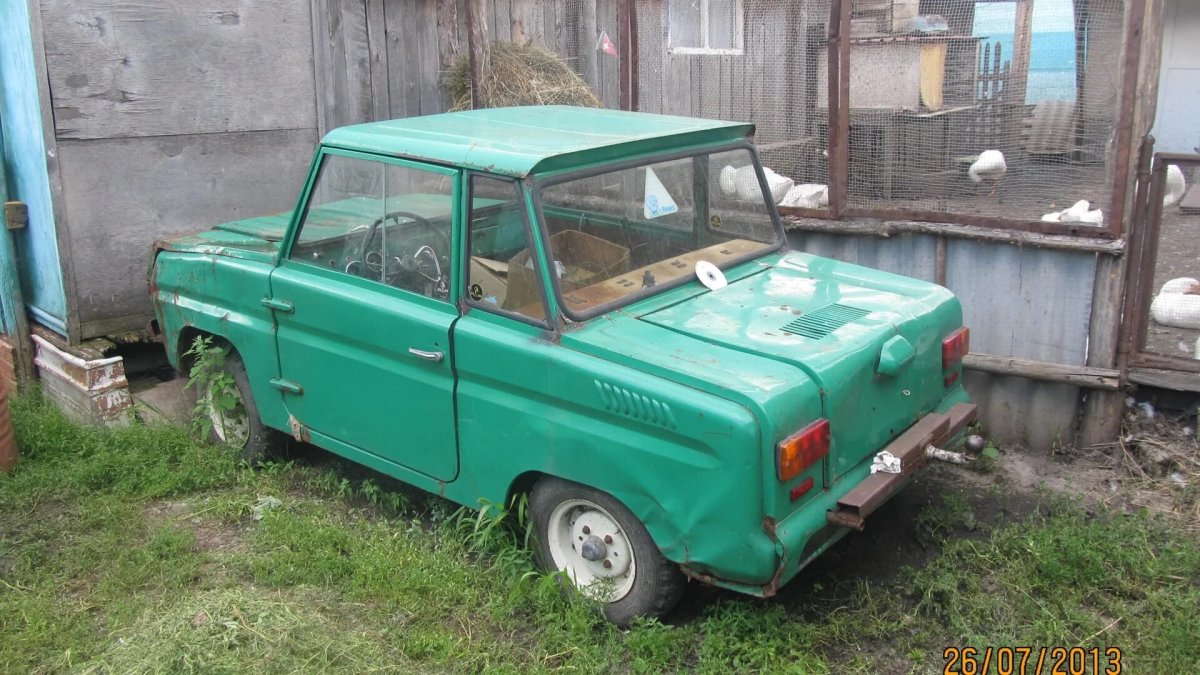 Инвалидка лягушка