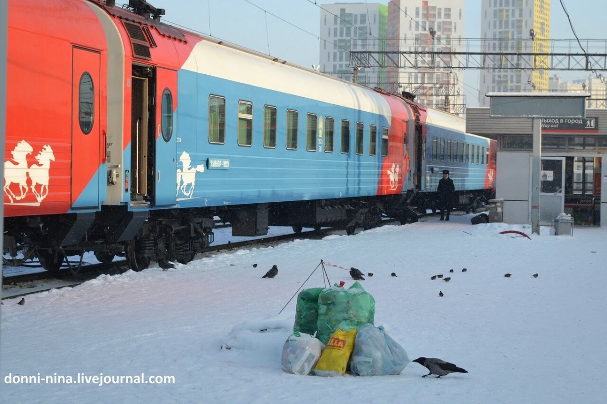 Улан Батор Москва поезд картинки