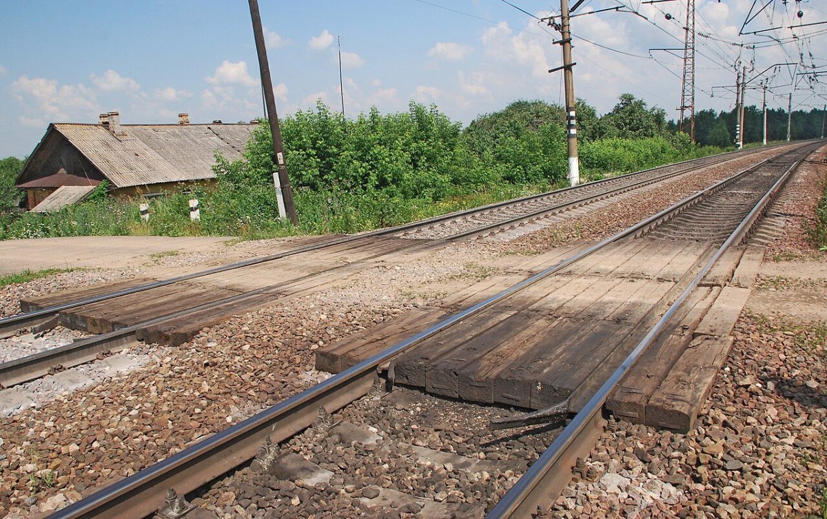 Лесные дары станция