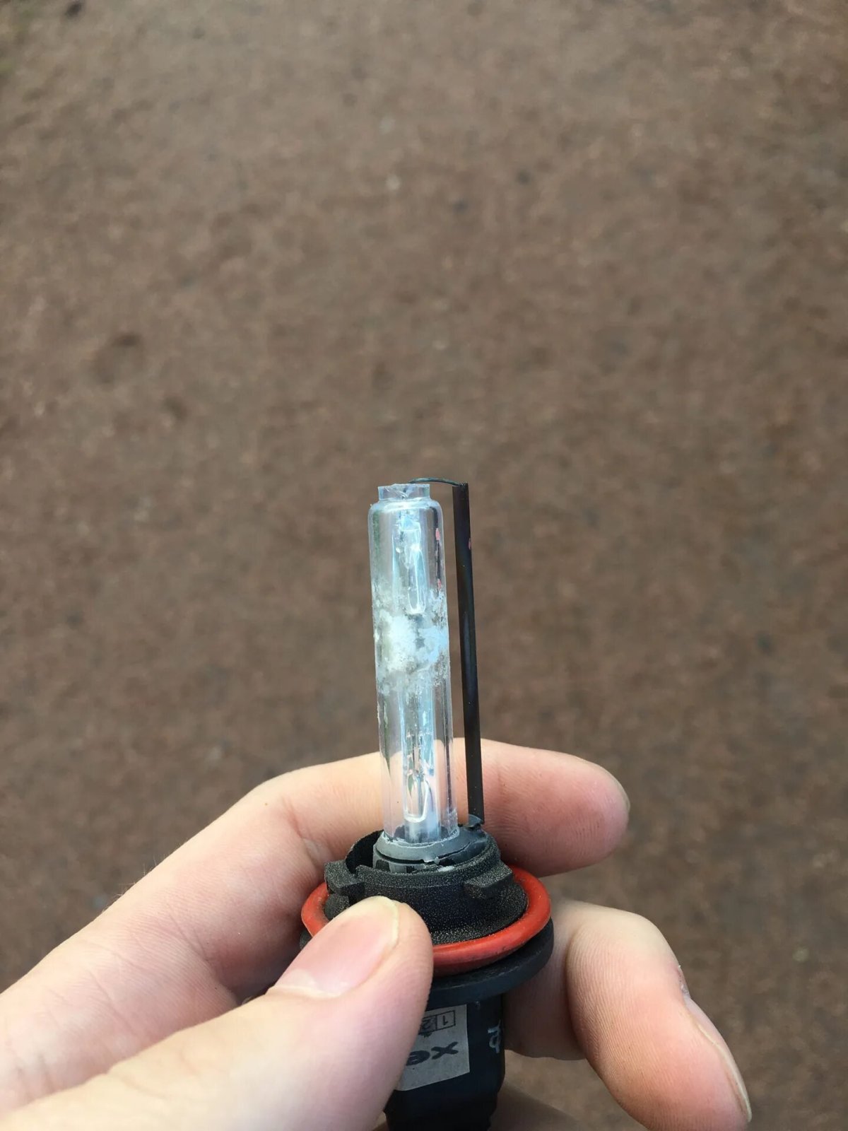 Лампочка ближнего Мазда 3 2004