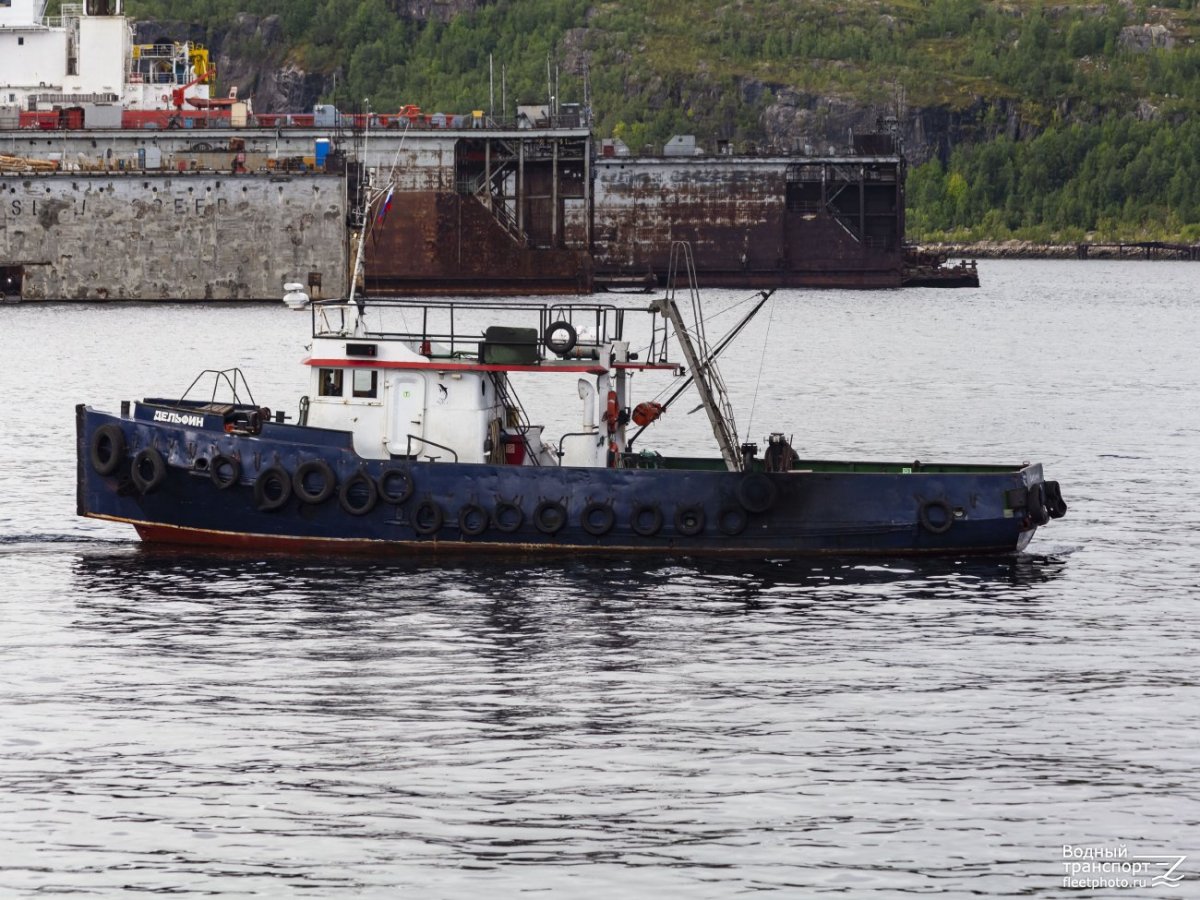 Буксир Дельфин Мурманск