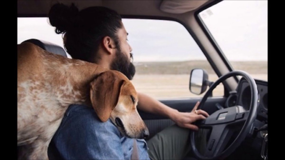 Человек с собакой