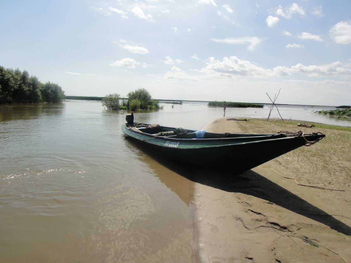 Волга Дельта Астрахань база
