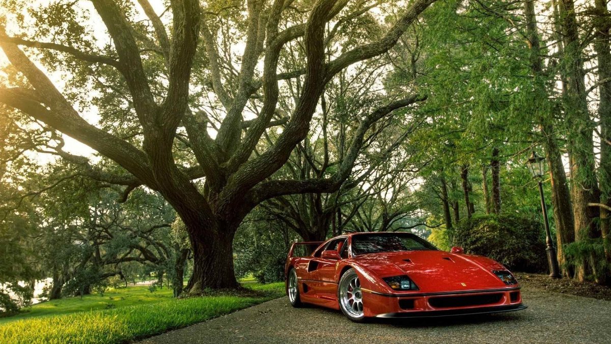 Ferrari f40