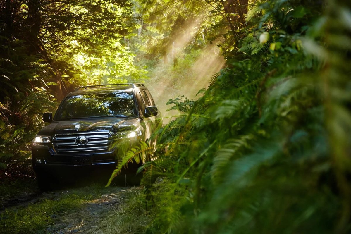 Ленд Крузер 200 в лесу