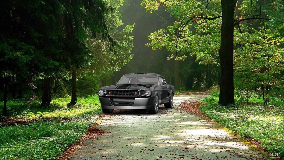 Машина под деревом