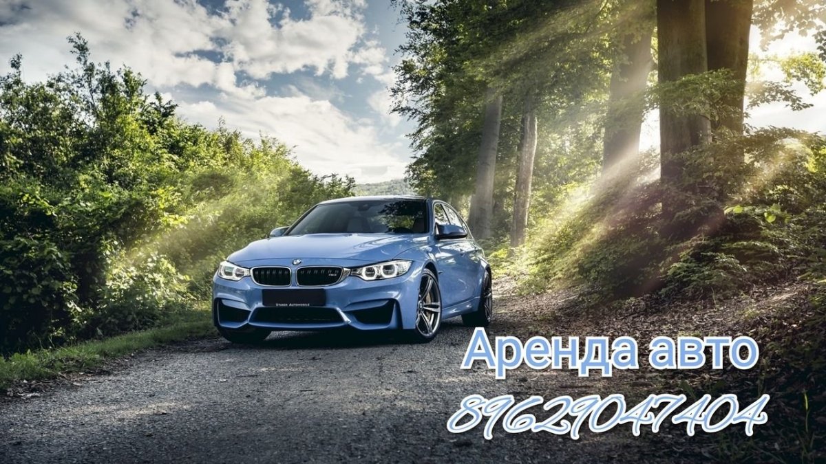 БМВ м5 в лесу