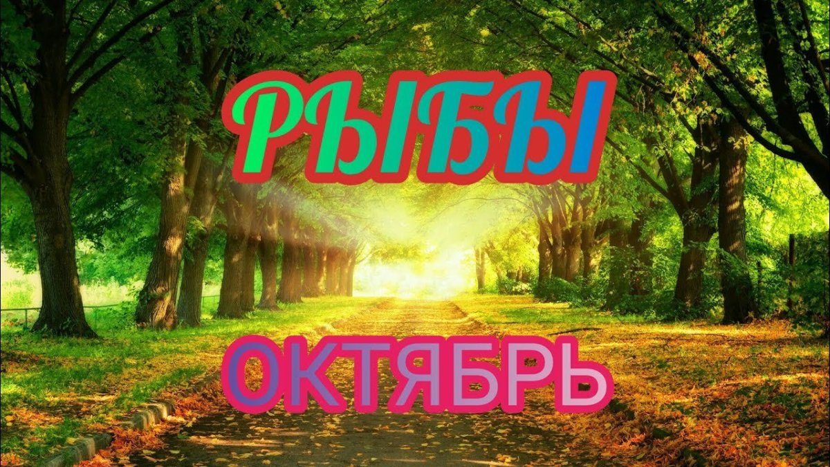 Автомобиль лето