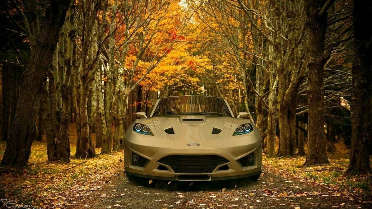 Машина в лесу