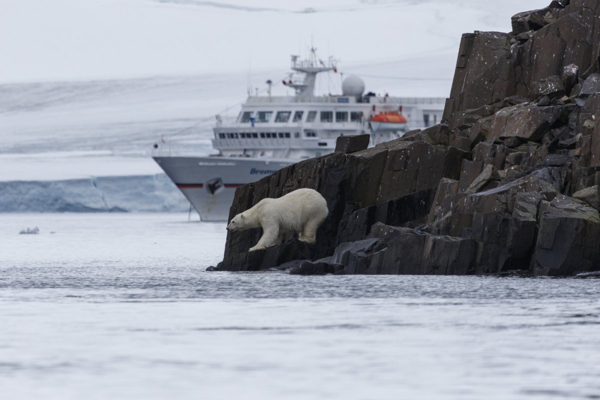 Национальный парк русская Арктика Архангельск