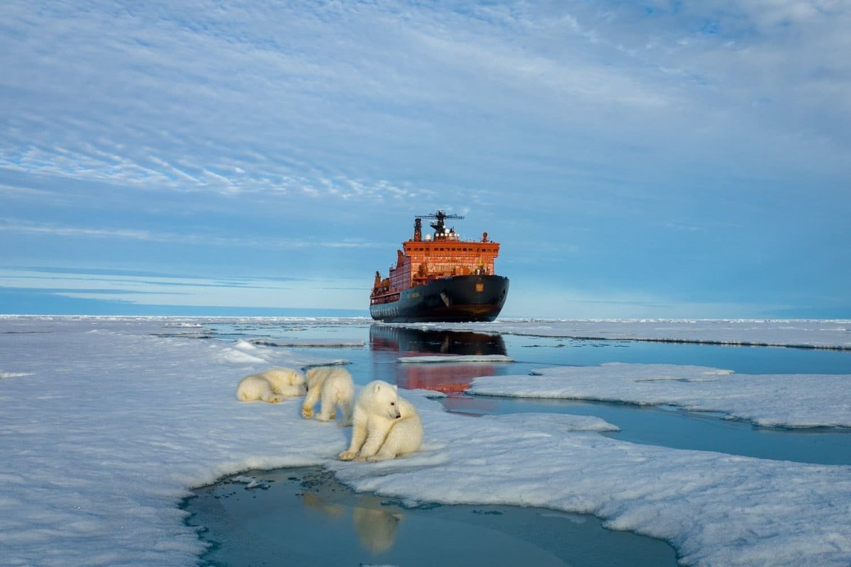 Ледокол Северный полюс