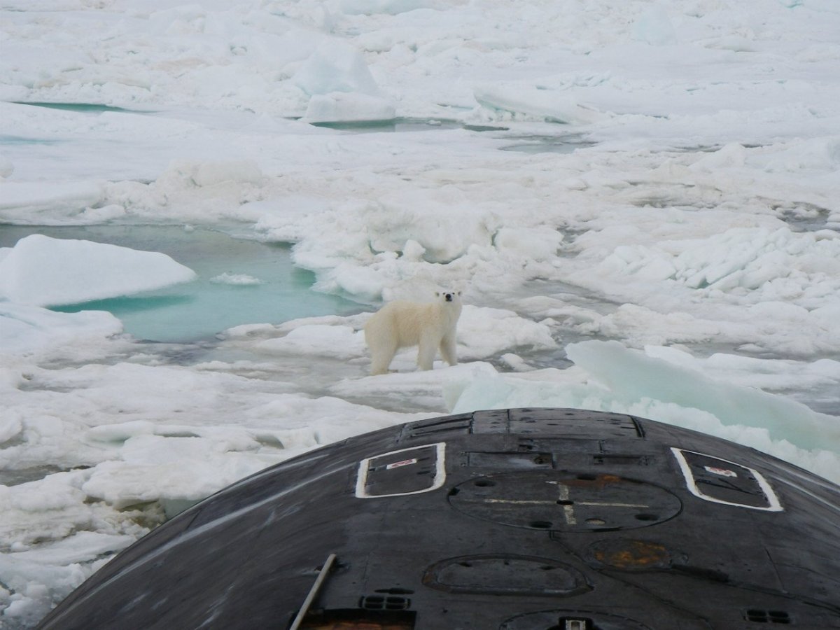 Вертодром Арктический Варандей