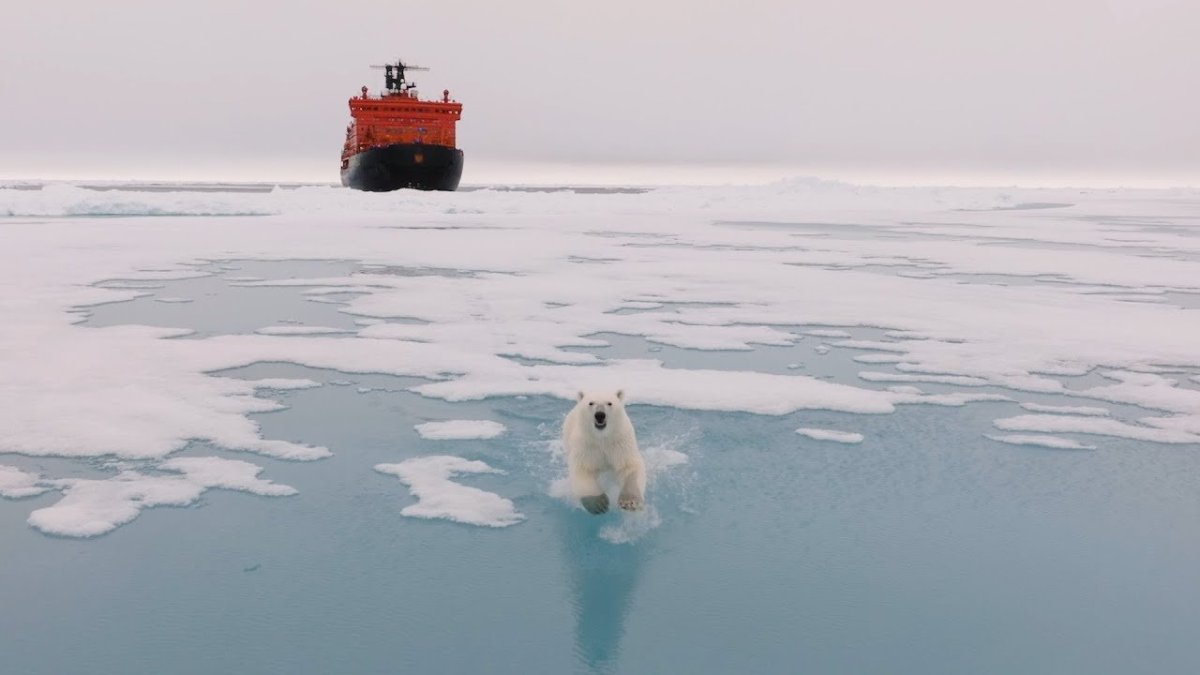 Северный полюс
