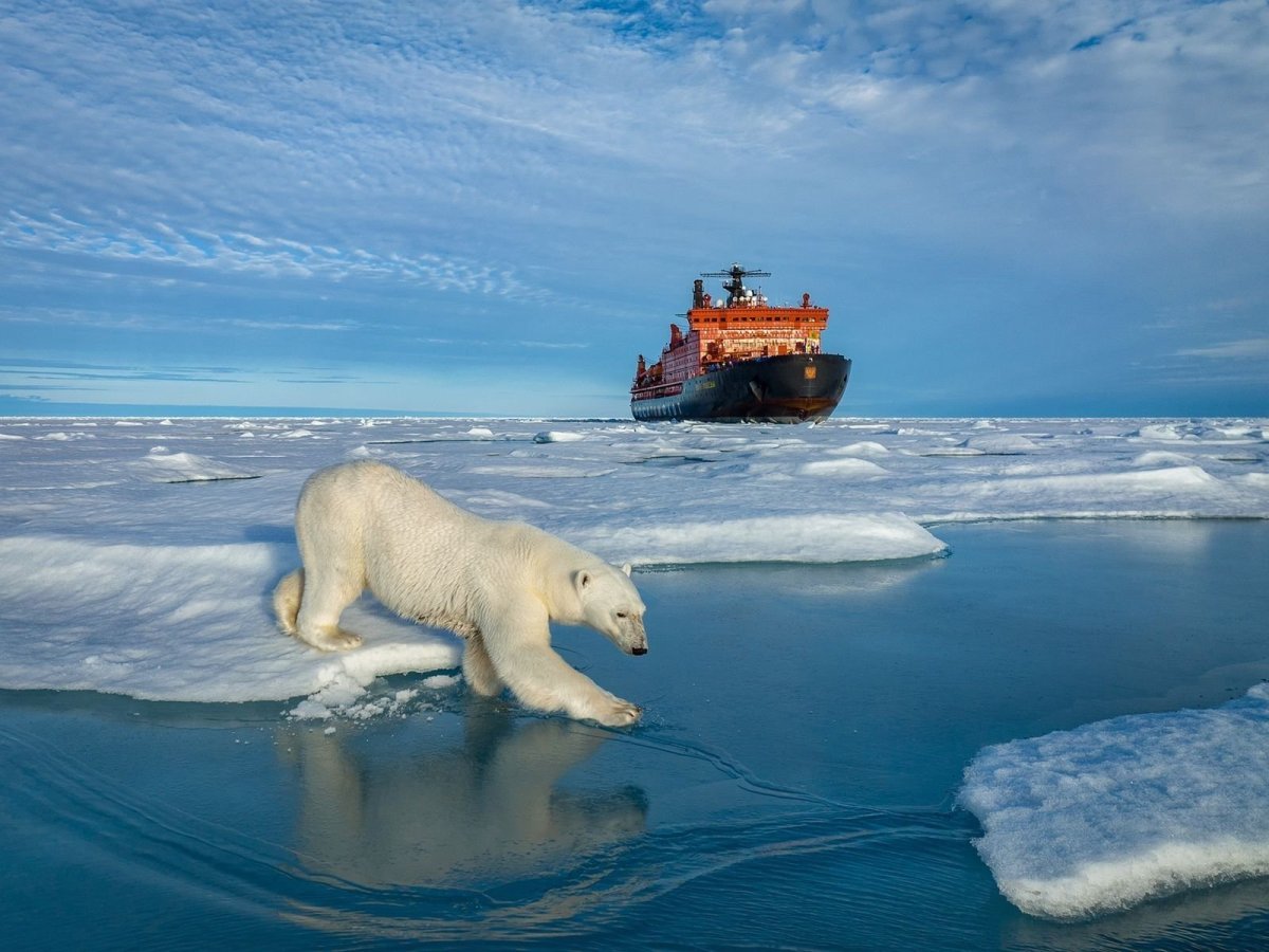 Мурманск Северный полюс