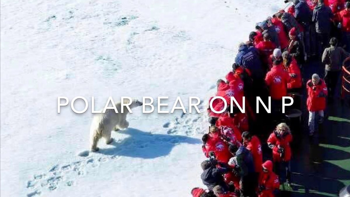 Ледокол 50 лет Победы круиз на Северный полюс