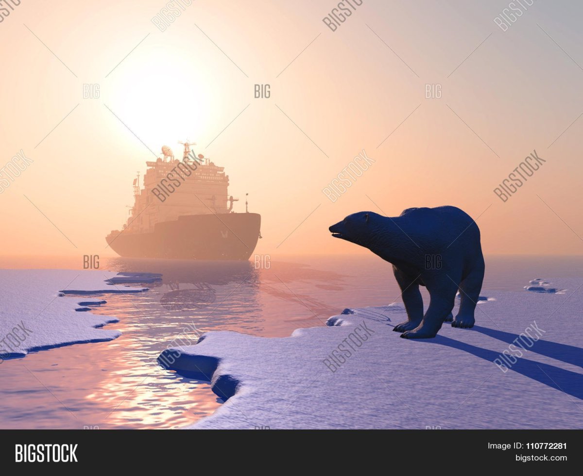 Ледокол и медведь