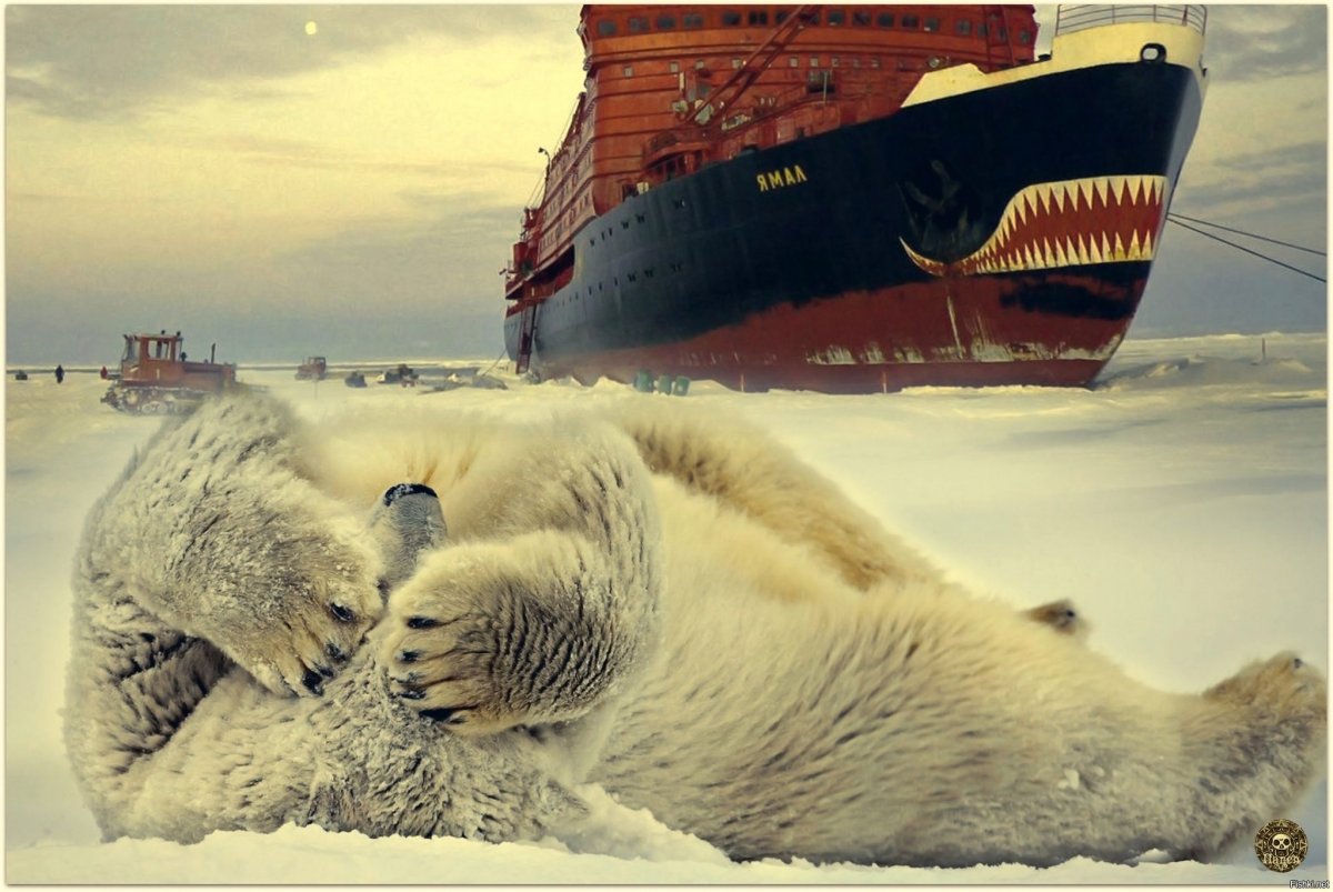Ледокол Ямал