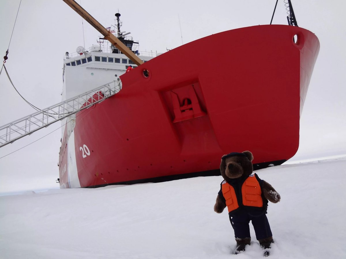 Арктика белый медведь и ледокол