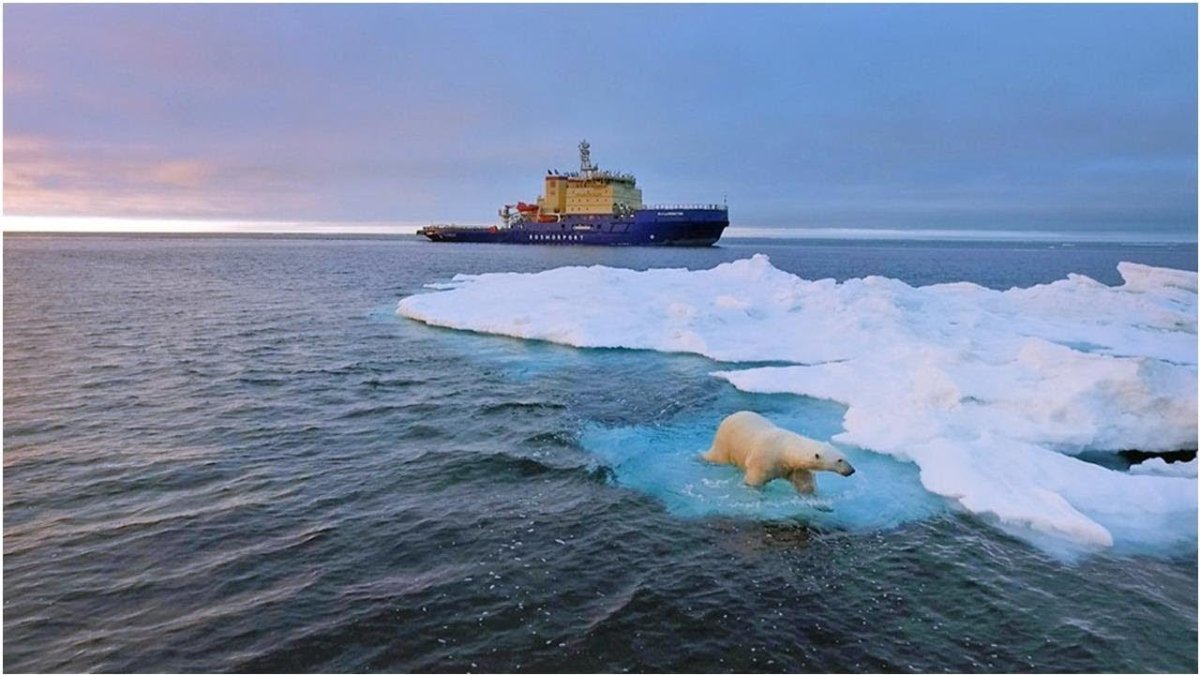 Остров Северный Карское море