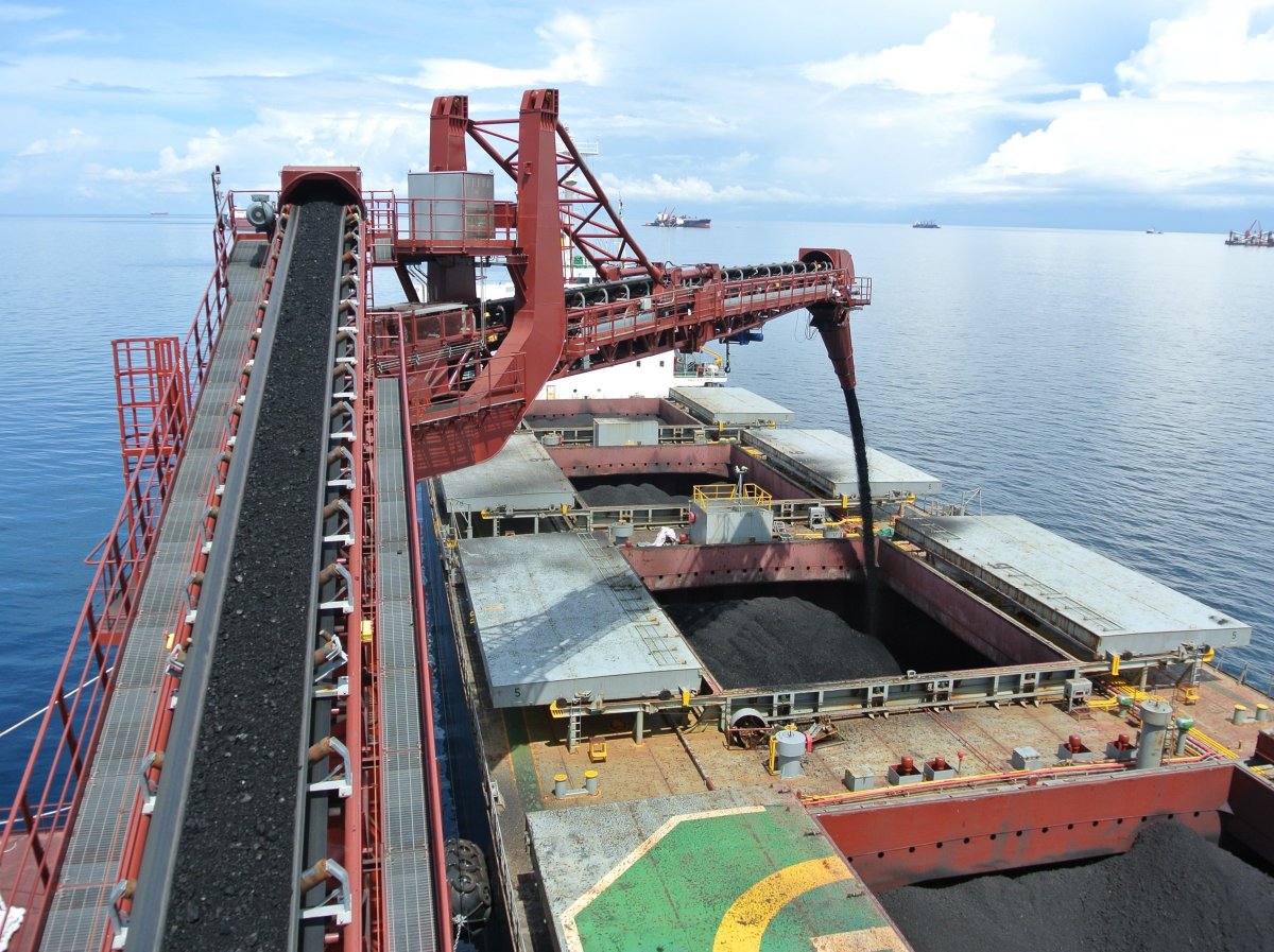 Плавучий норийно-конвейерный перегружатель