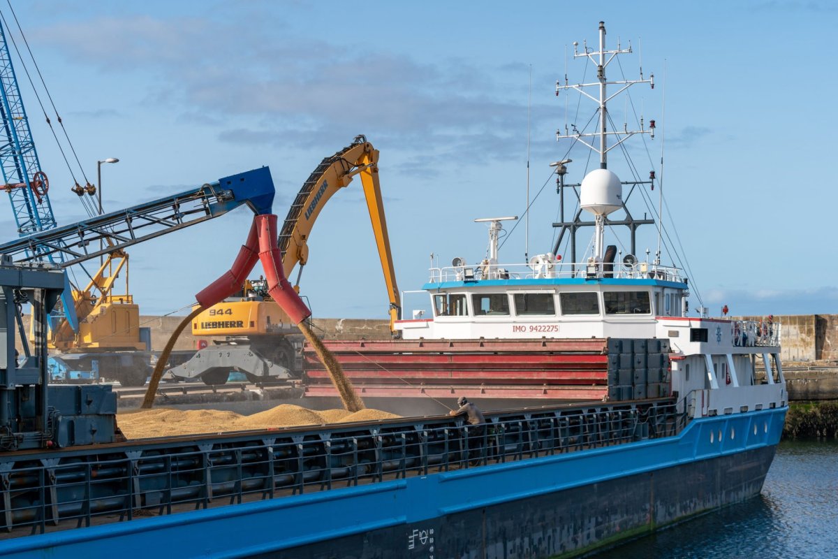 Сухогруз с краном