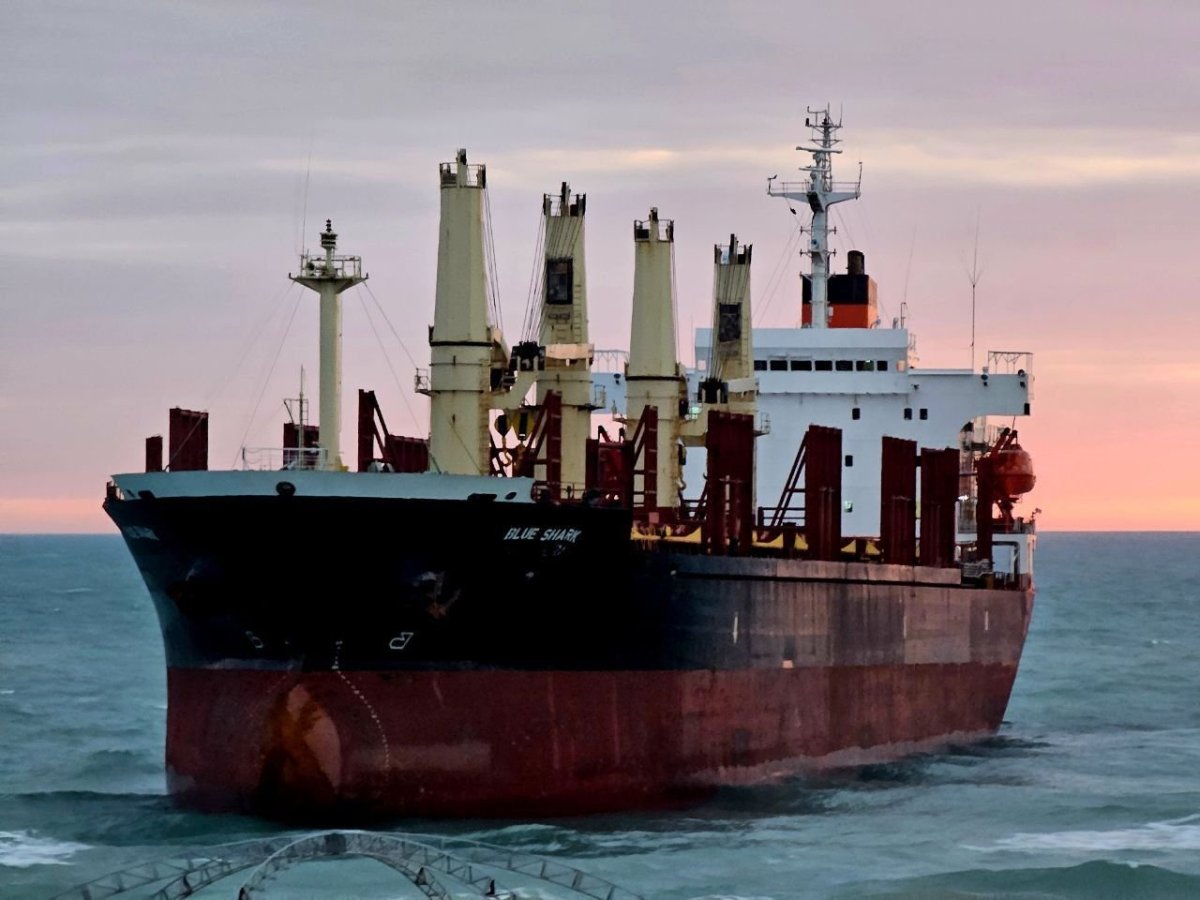 Милена фото судна