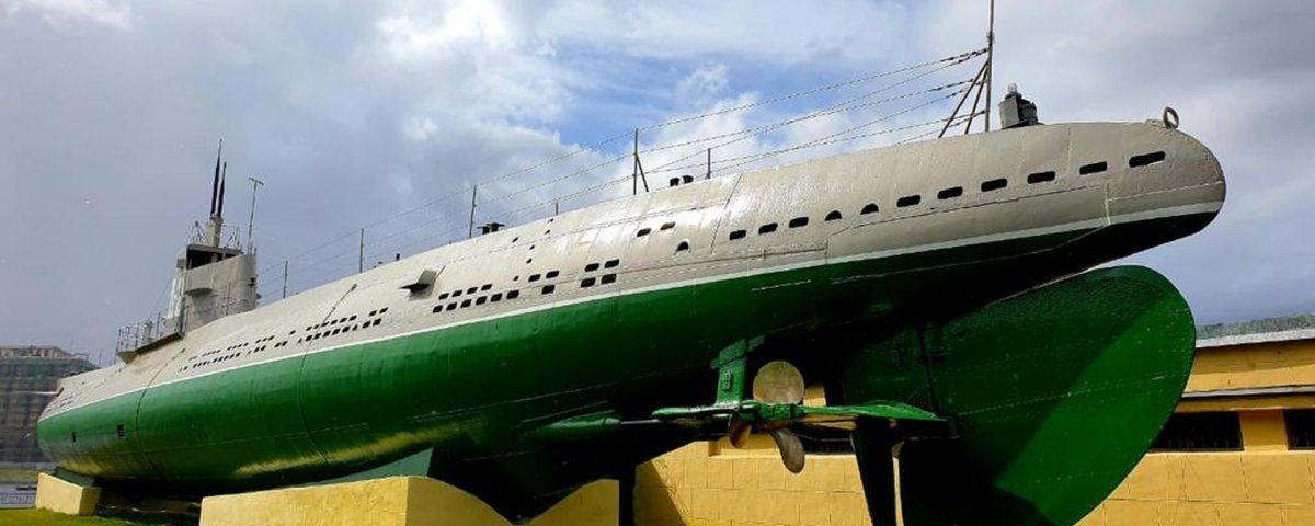 Д-2 «Народоволец»