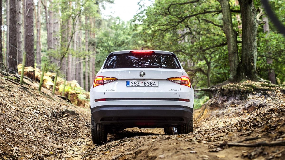 Кодиак с прицепом фото