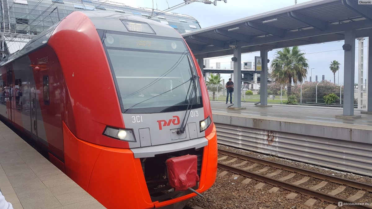 Ласточка Адлер Новороссийск