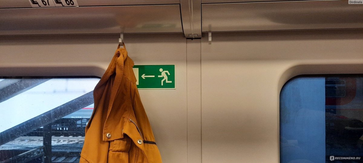 Алиса поезд Ласточка неудобная посадка